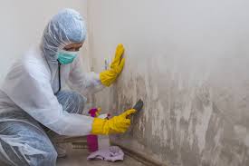 Best Residential Mold Inspection & Testing  in Mount Healthy Heights, OH